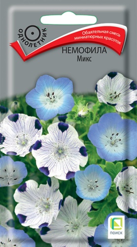 Цветы Немофила Микс, смесь 0,1 г ц/п Поиск (однол.)