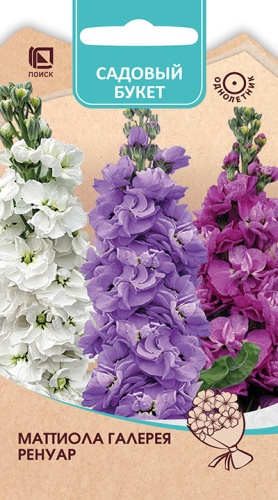 Цветы Маттиола Галерея Ренуар, смесь 0,05 г ц/п Поиск (однол.)