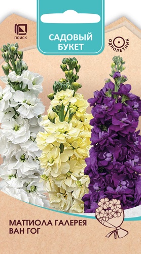 Цветы Маттиола Галерея Ван Гог, смесь 0,05 г ц/п Поиск (однол.)