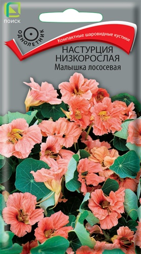 Цветы Настурция Малышка лососевая 1 г ц/п Поиск (однол.)