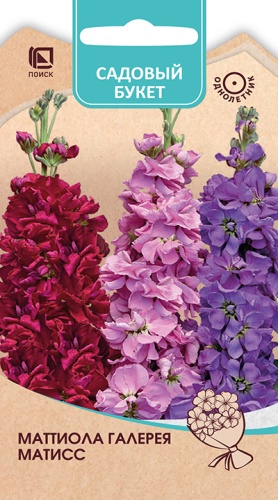 Цветы Маттиола Галерея Матисс, смесь 0,05 г ц/п Поиск (однол.)