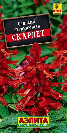 Цветы Сальвия Скарлет 0,1 г ц/п Аэлита (однол.)