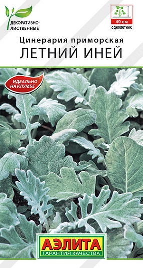 Цветы Цинерария Летний иней 0,05 г ц/п Аэлита (однол.)