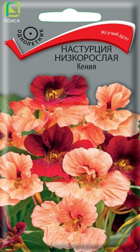 Цветы Настурция Кения, смесь 1 г ц/п Поиск (однол.)