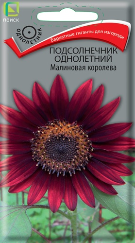 Цветы Подсолнечник Малиновая королева 0,5 г ц/п Поиск (однол.)