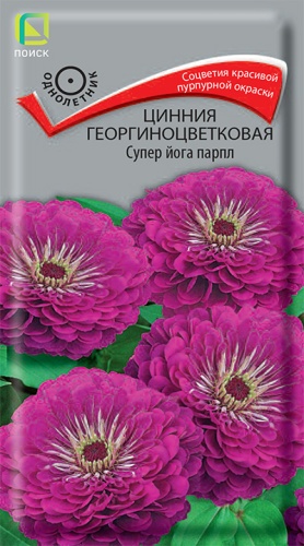 Цветы Цинния Супер Йога Парпл, георгиноцветковая 0,4 г ц/п Поиск (однол.)