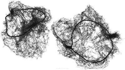 Dewal Сеточка-паутинка для создания причёсок большая СЕ100, черный, 2 шт.