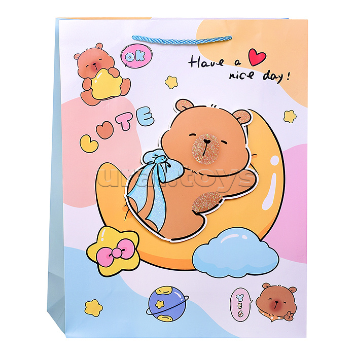 Пакет подарочный