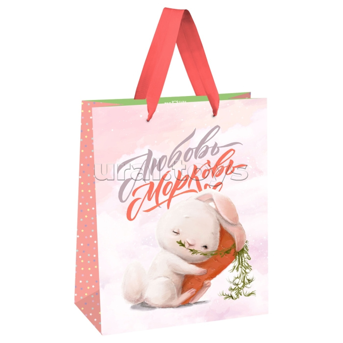 Пакет подарочный 18х23х10см