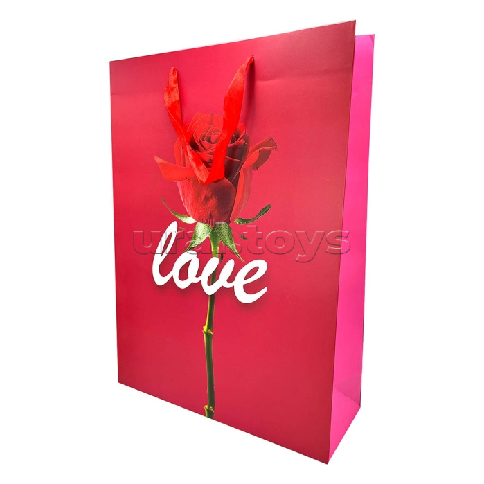 Пакет подарочный