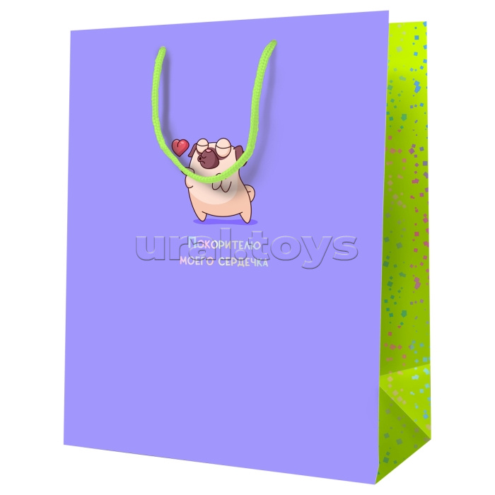 Пакет подарочный 18х23х10см