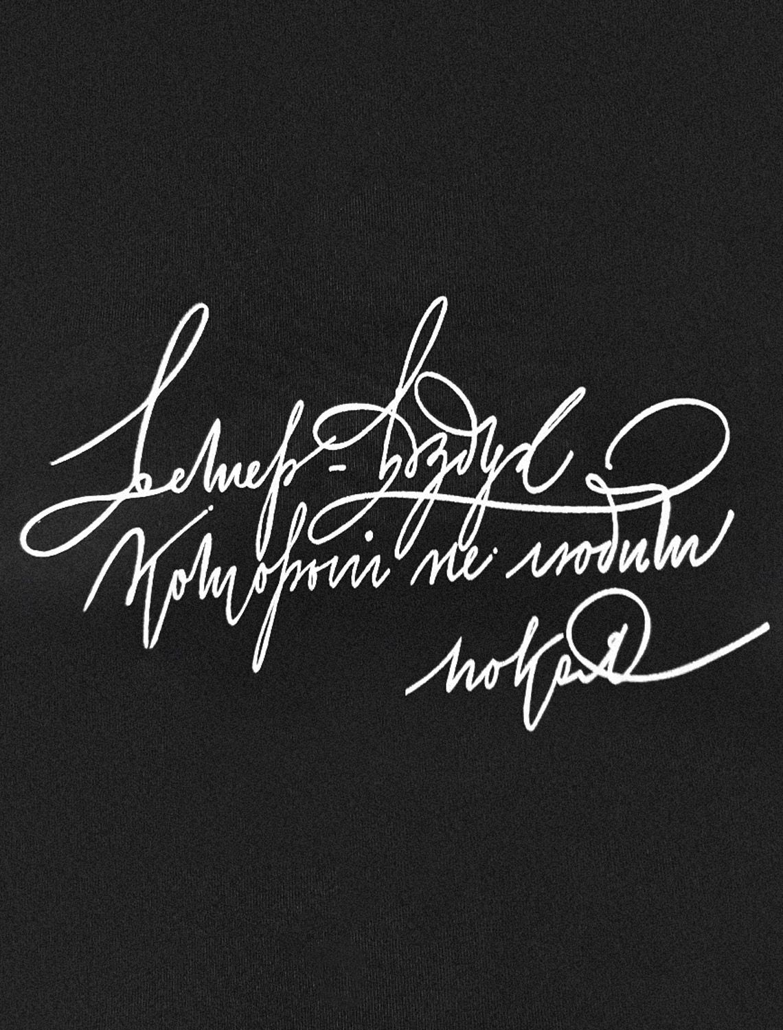 Ст.цена 1390р Футболка из премиального хлопка с авторским принтом D49.110 черный_ветер