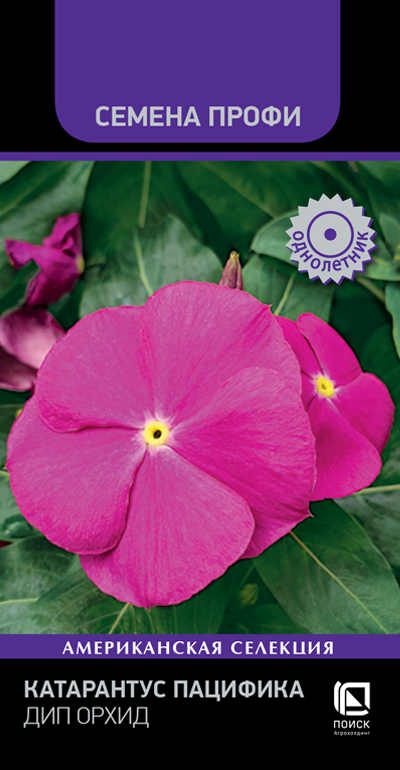 Катарантус Пацифика Дип Орхид (Семена Профи) 10 шт