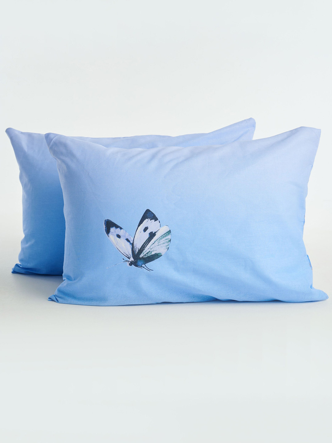 Комплект наволочек бязь (молния) / Одуванчики, голубой