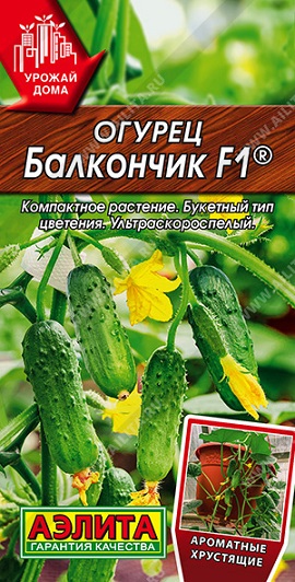 Огурец Балкончик F1, 10 шт ц/п Аэлита (парт), комнатный