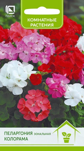 Цветы Пеларгония Колорама 0,05 г ц/п Поиск (комн.)