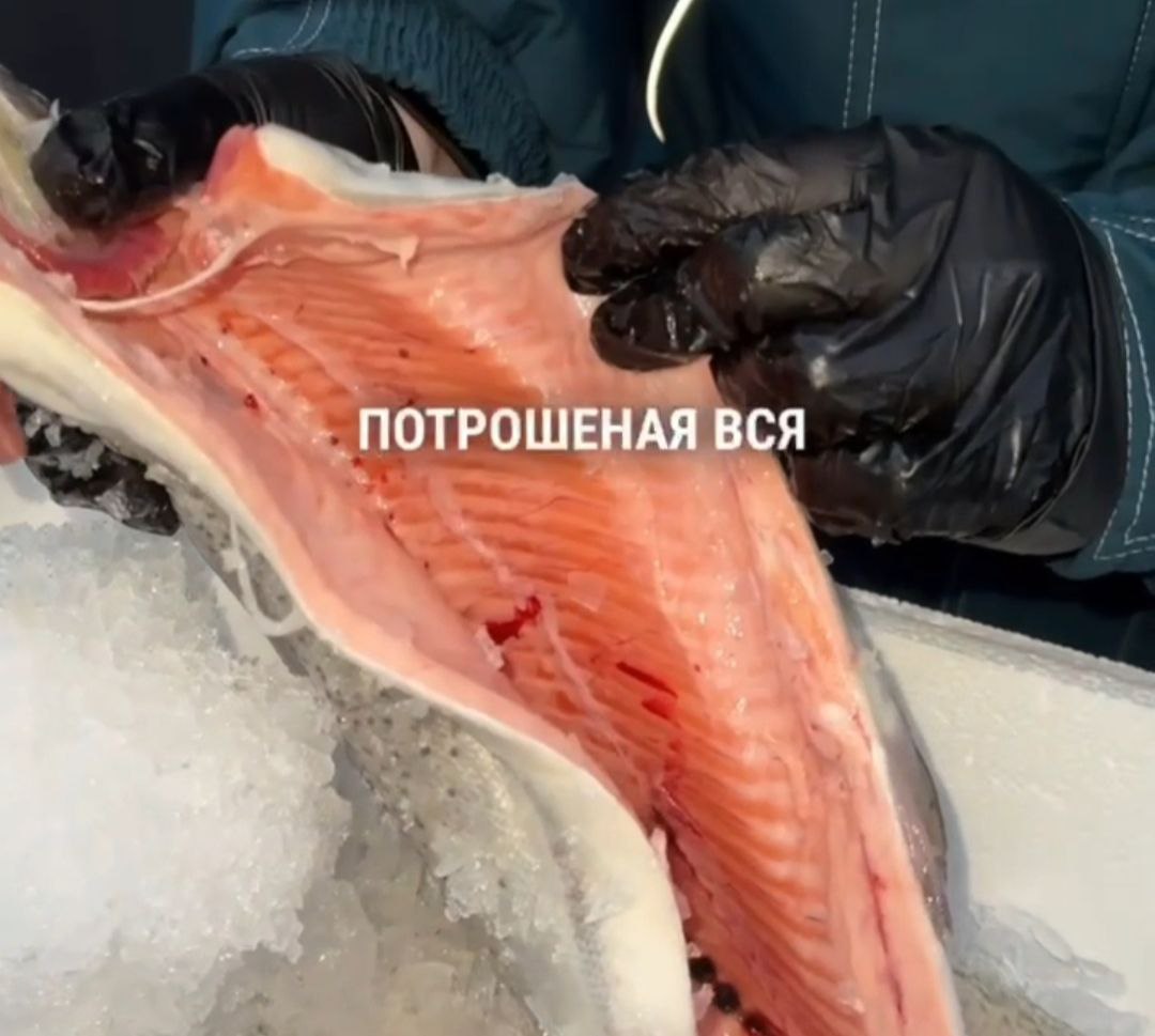 Форель Карелия охлажденная весовая 2-3 кг