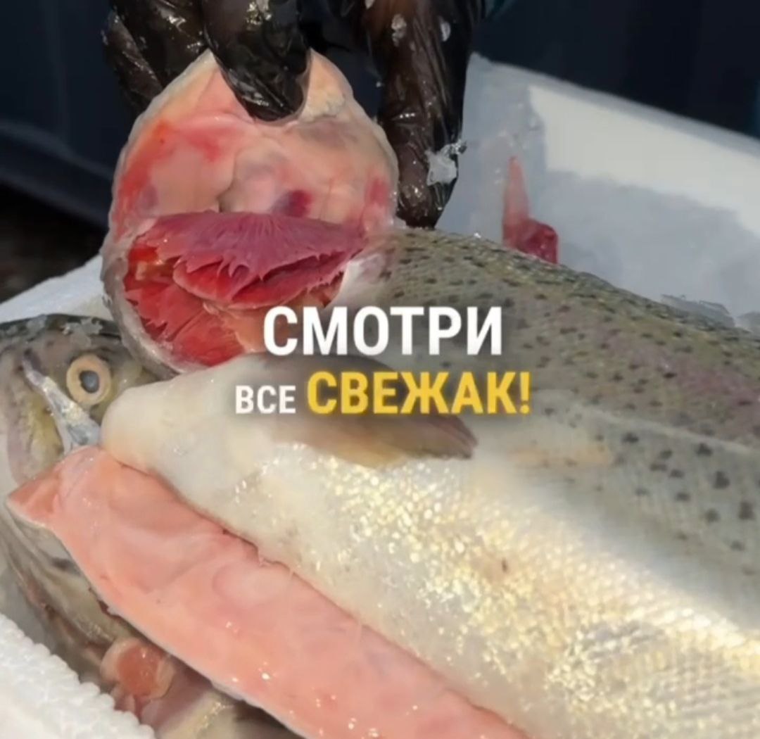 Форель Карелия охлажденная весовая 2-3 кг