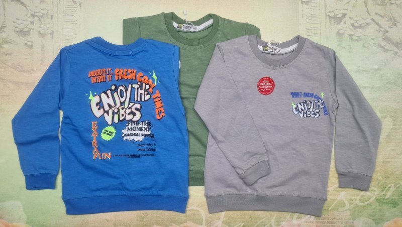 9133 Футболка длинный рукав для мальчика TANEM