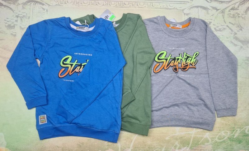 9156 Футболка длинный рукав для мальчика TANEM