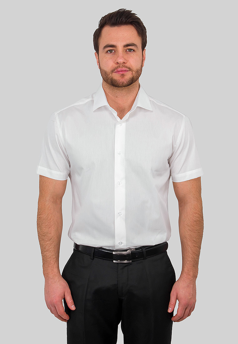 Сорочка мужская короткий рукав GREG 510/109/ALT/ZV