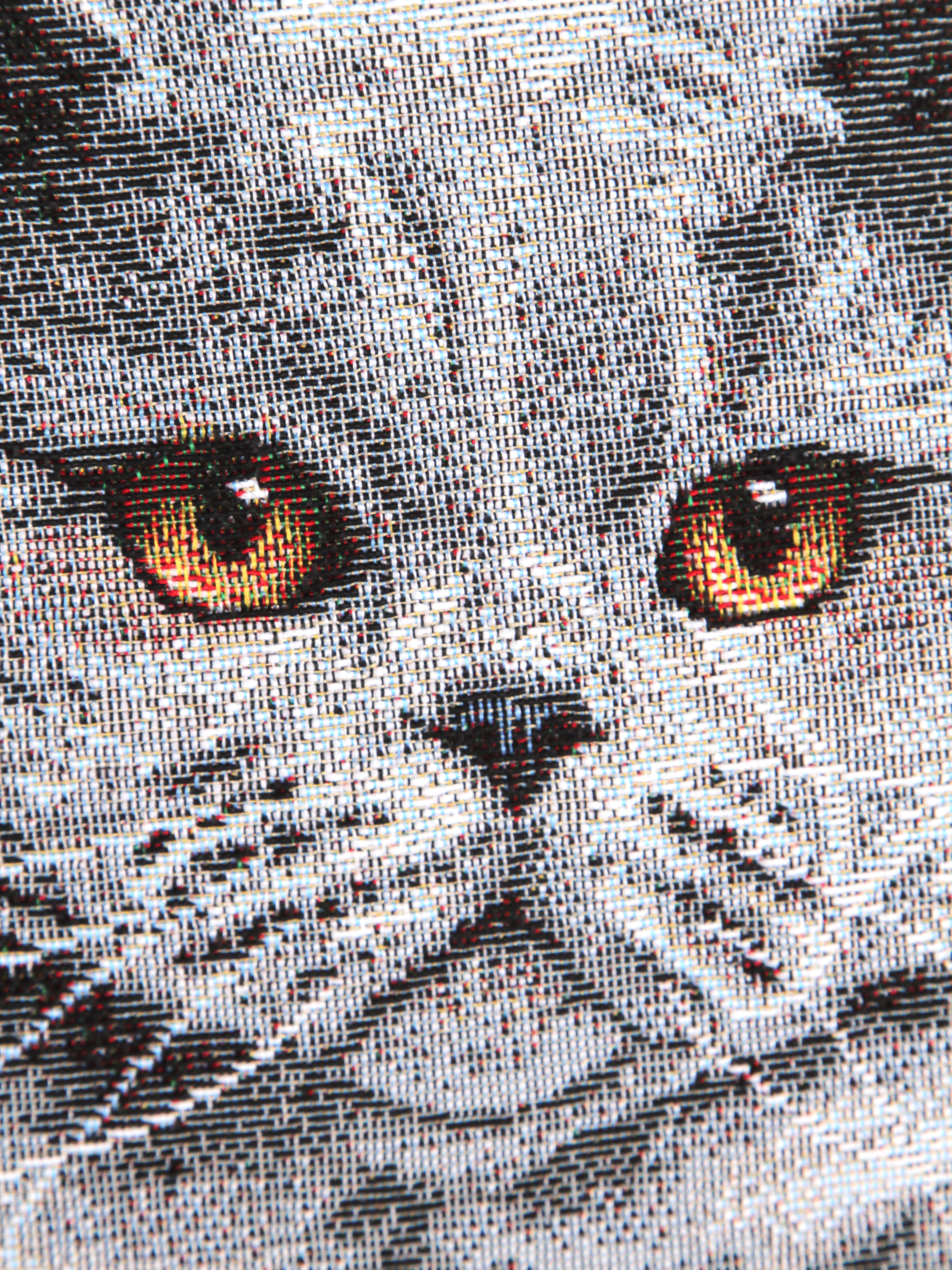 Британская короткошерстная кошка Наволочка 45х45 см 2100642 NEW