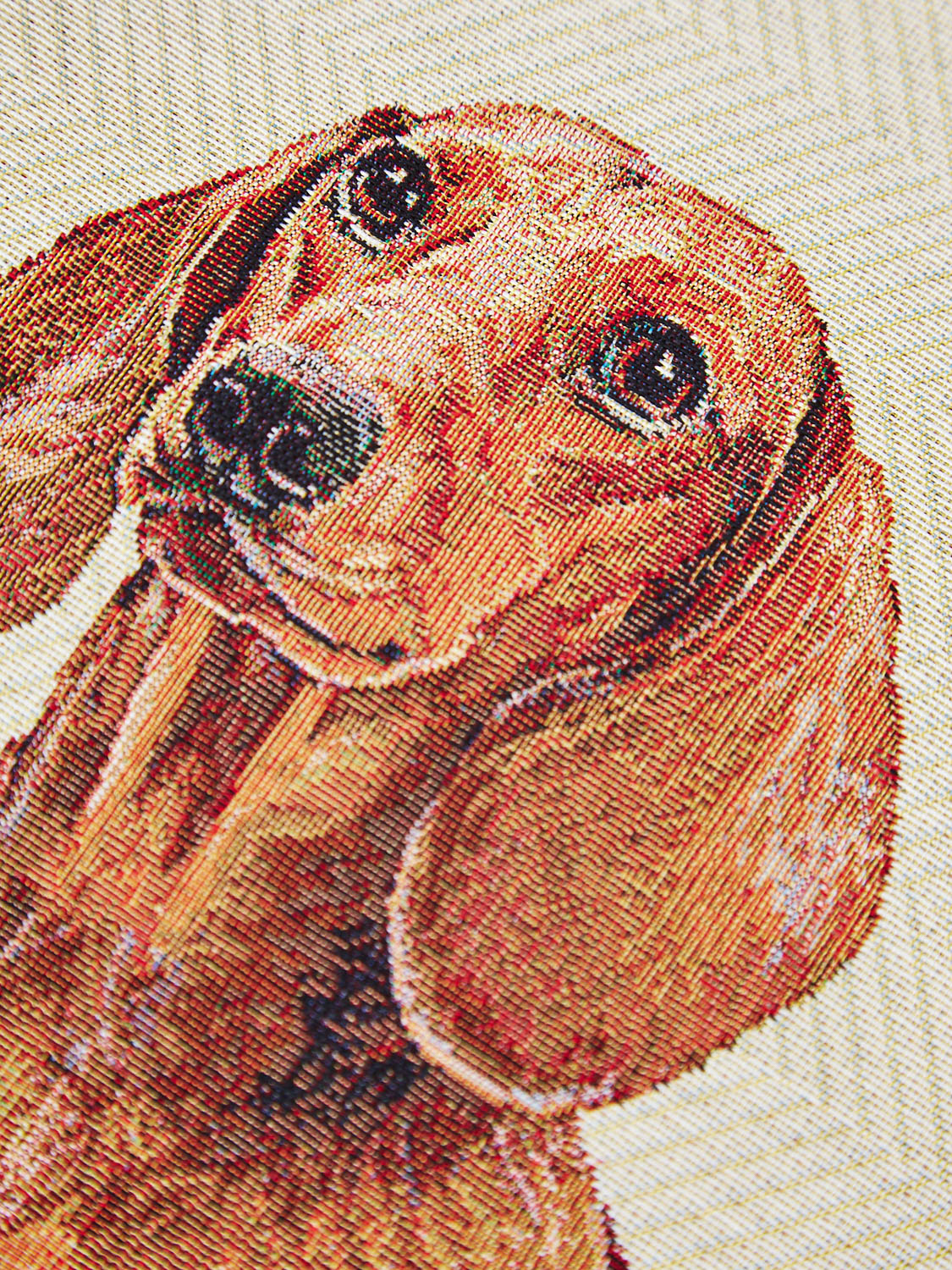 Породы собак Такса рыжая Твид Наволочка 45х45 см 2102306