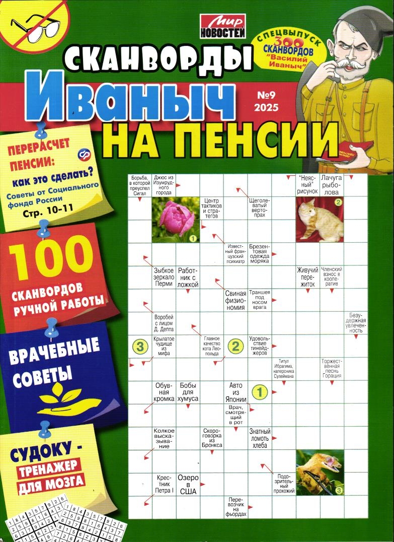 Василий Иваныч 300 сканвордов спец Иваныч на пенсии 09/25