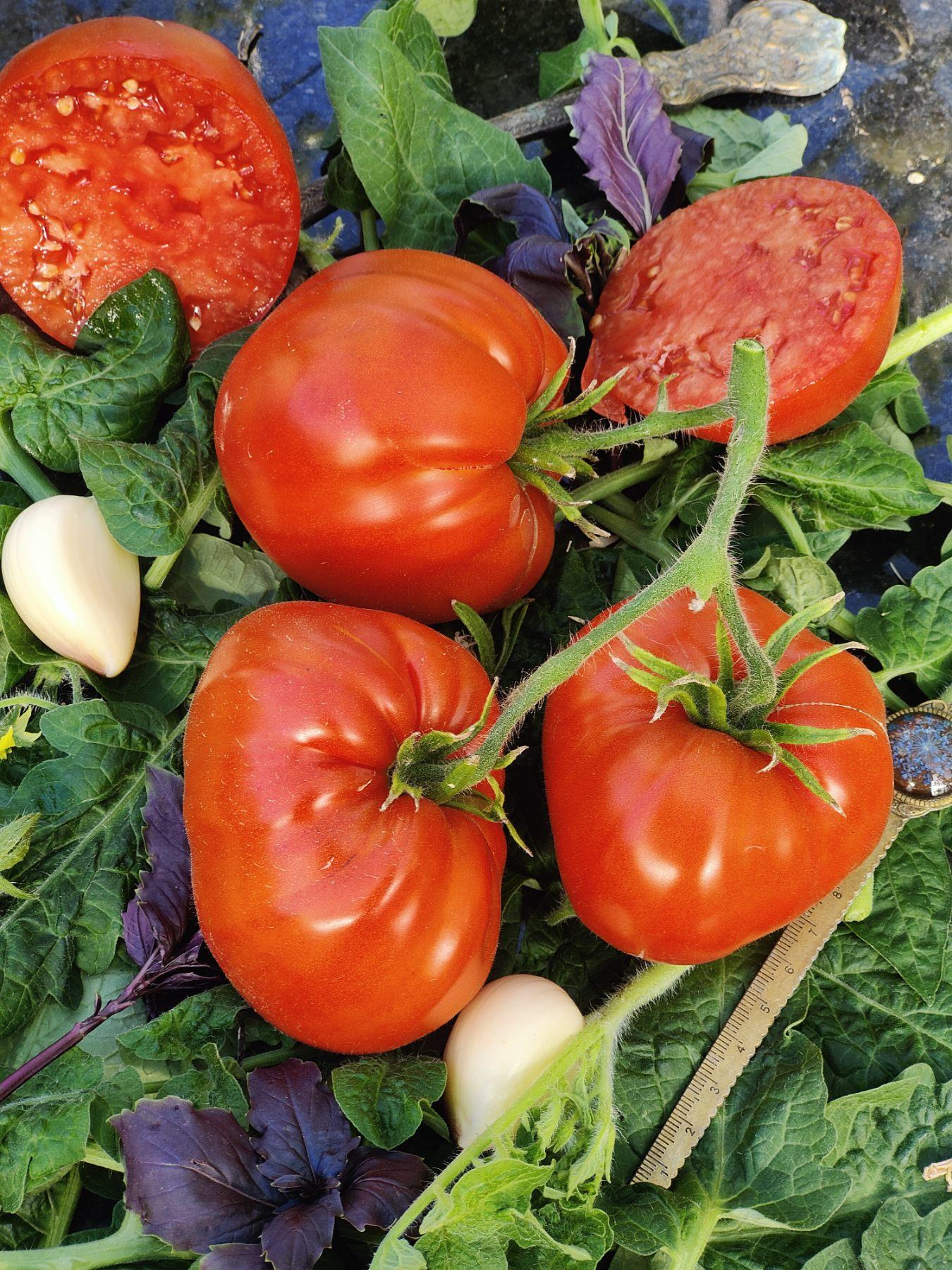 Восторг Мэйо Mayo's Delight, США