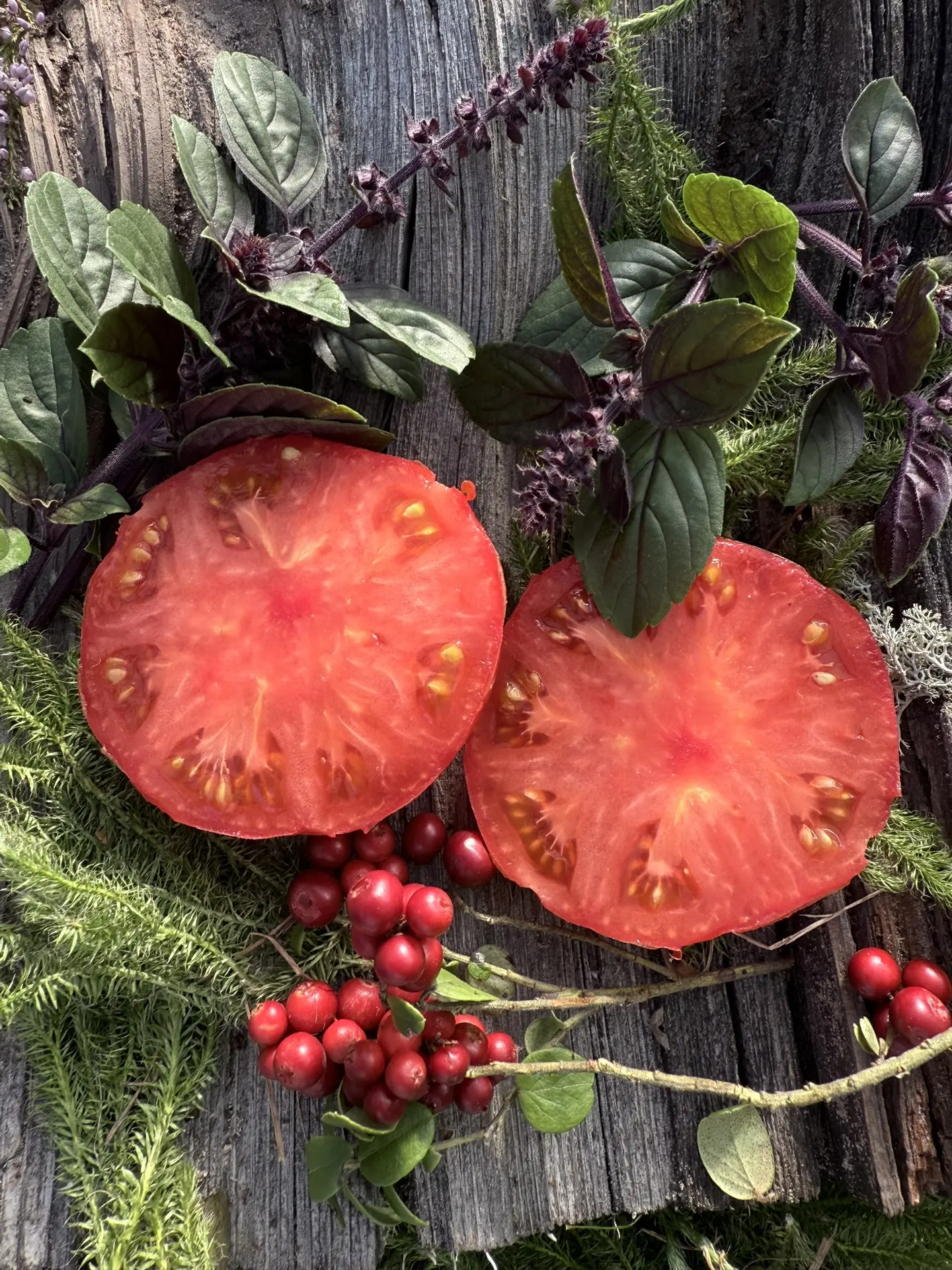 Гном Варатах