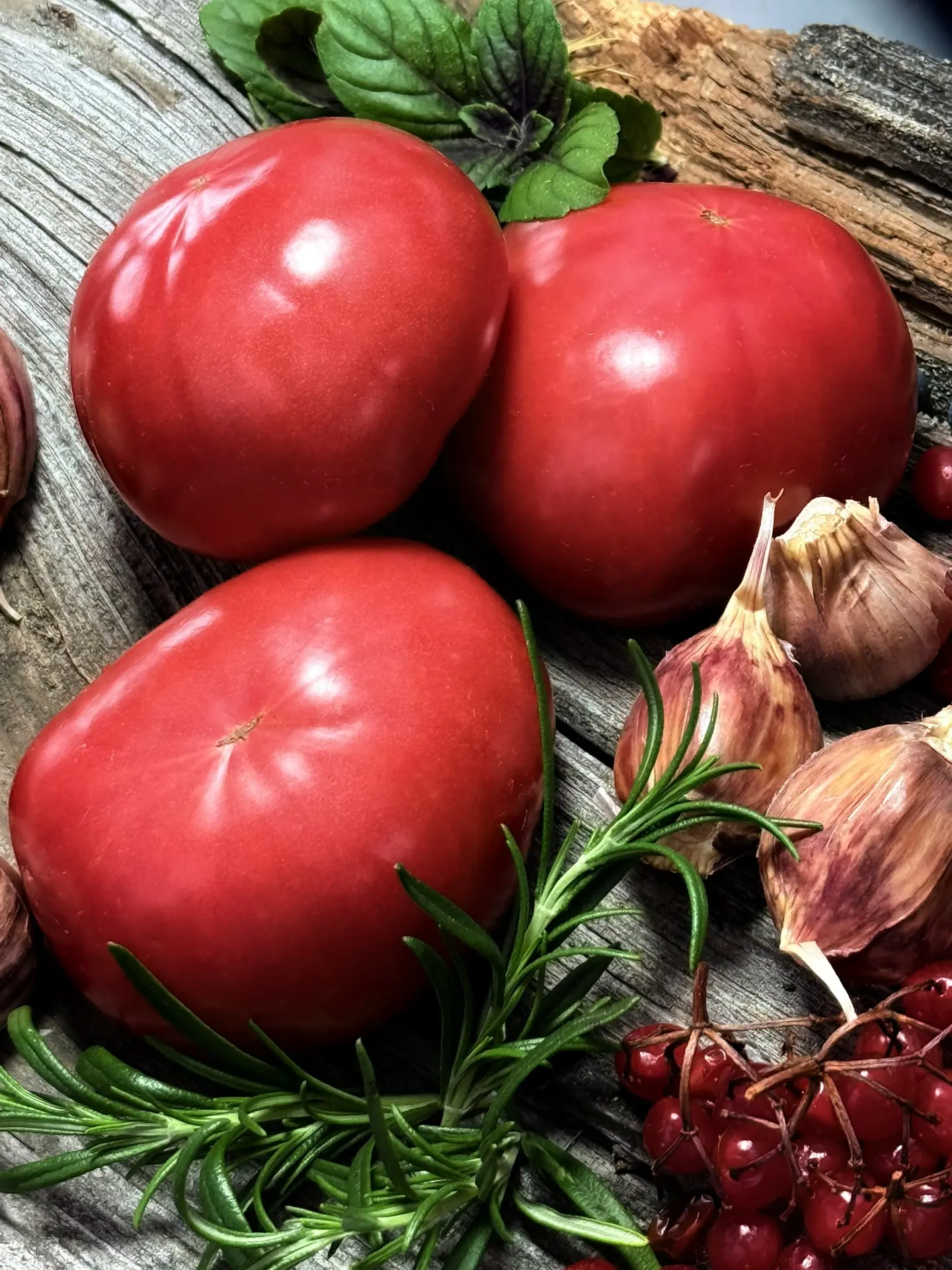 Розовый с черной горы
Black Mountain Rose