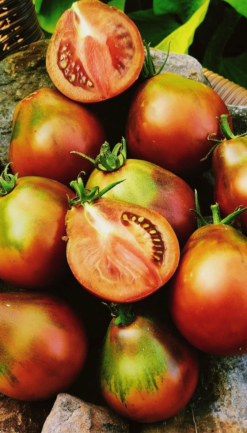 Старинное сердце Равенны
(Cuore Antici di Ravenna)