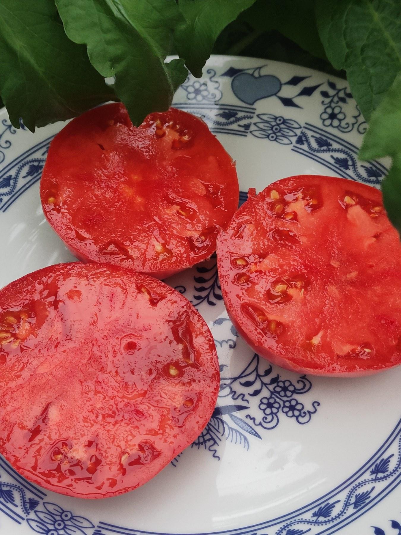 Египетская Ладья