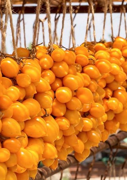 Черри ДжаДжу Giagiù
Yellow Piennolo del Vesuvio