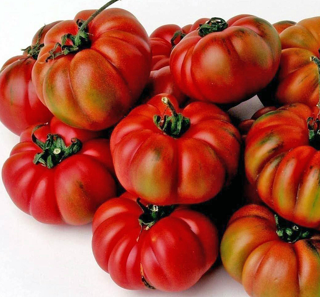 Пантано Романеско
Pantano romanesco