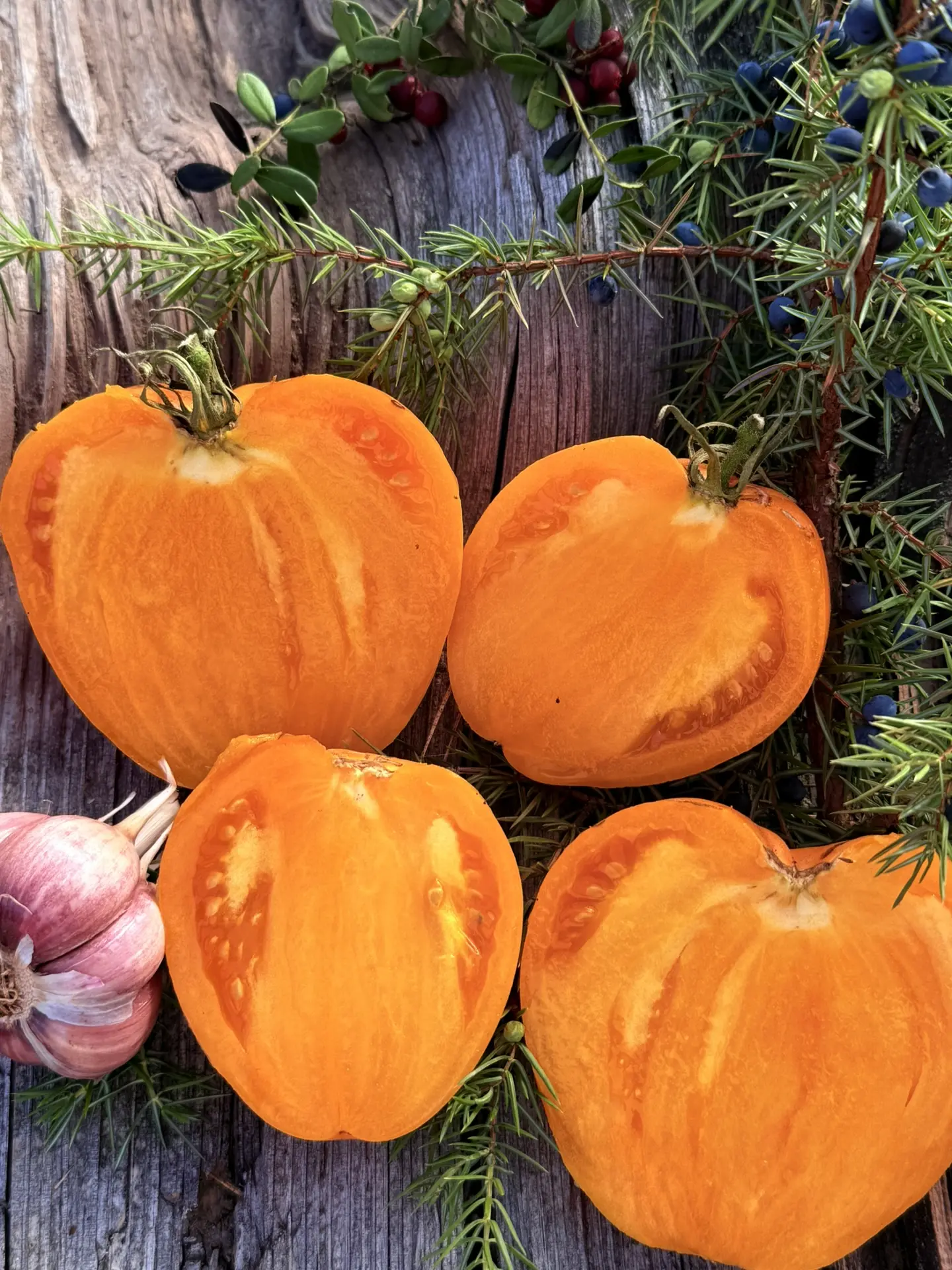 Желтая булочка (Yellow Cookie)