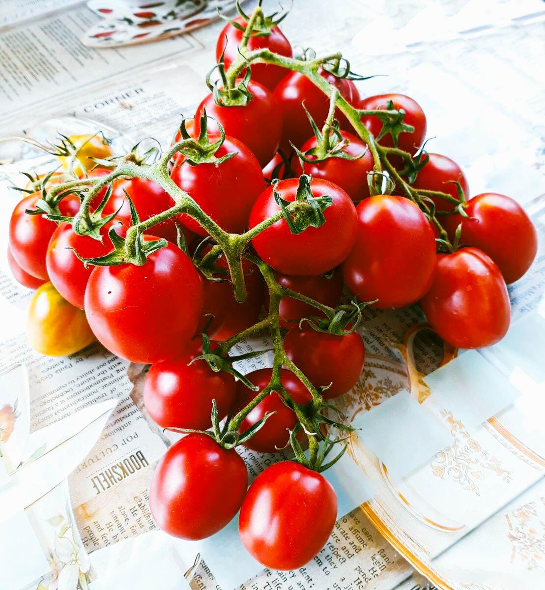 Гроздевой Корбарино (Grappoli Corbarino)