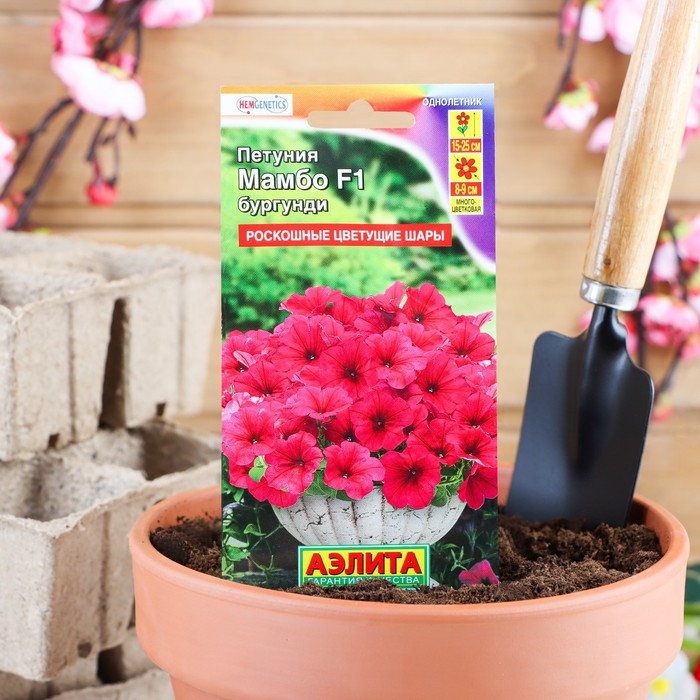 Семена Петуния Мамбо F1 бургунди многоцветковая, 7