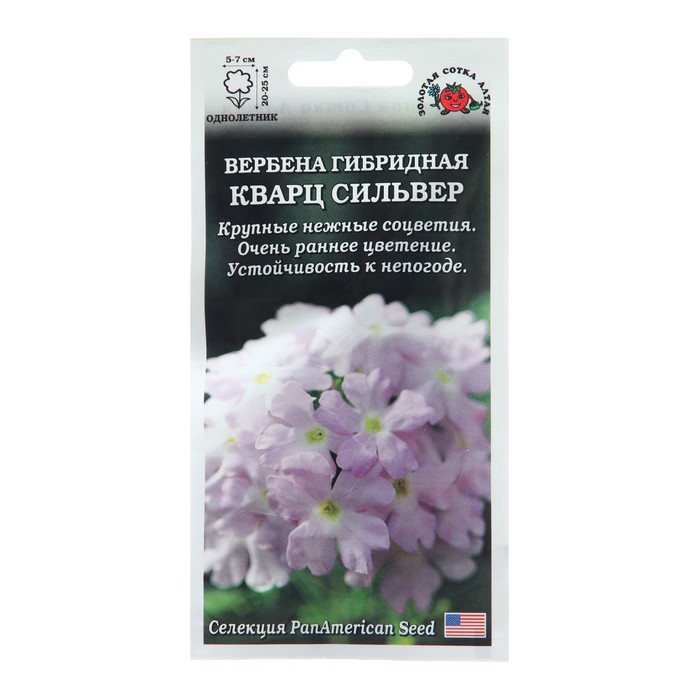 Семена цветов Вербена