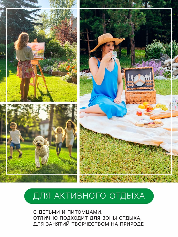 Семена Мятлик луговой