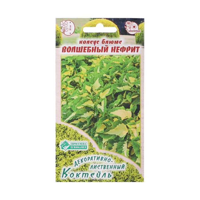 Семена Колеус блюме