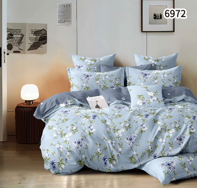 Постельное белье из Поплина Зима-лето - ЗЛ-289