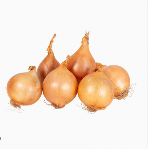 лук Штуттгартер Стенфилд фасовка 1кг сетка фракция 10-21 Голландия