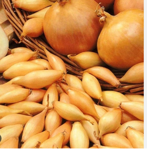 лук Центурион фасовка 1кг сетка фракция 10-21 Голландия