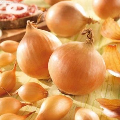 лук Корадо сетка 1кг Россиия фракция 10-21