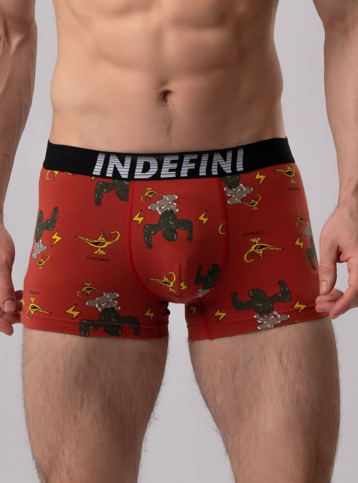 Мужские трусы (Арт. 2046MUF)