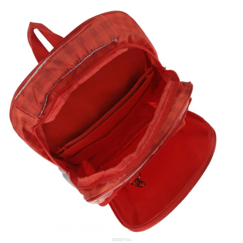 Рюкзак школьный Hatber SOFT 