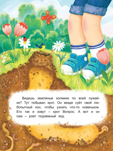 Крот Вопрос ищет дом