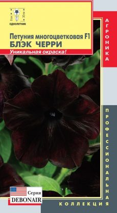 Петуния многоцветковая F1 (серия “Debonair”) Блэк Черри (Уникальная окраска цветков - «мерцающая» черная с красно-пурпурными оттенками!)