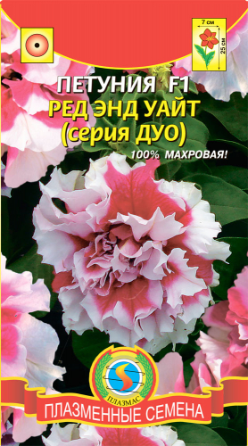 Петуния F1 (серия Дуо) Роуз (100% махровая, крупноцветковая, гранулированные семена в пробирках)